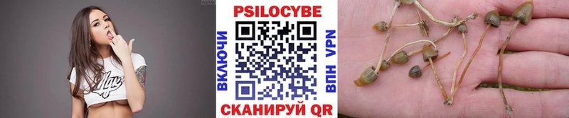 Галлюциногенные грибы мицелий  hydra зеркало  Красноармейск 